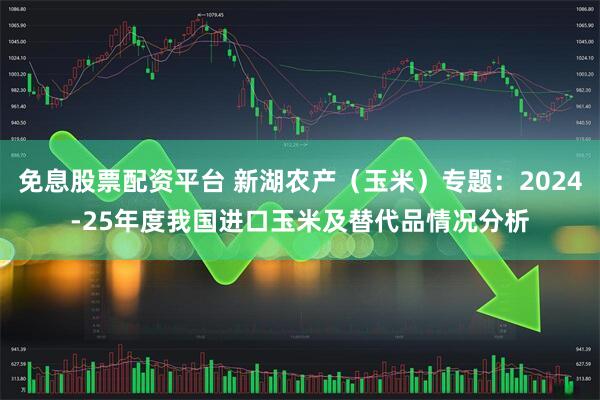 免息股票配资平台 新湖农产（玉米）专题：2024-25年度我国进口玉米及替代品情况分析
