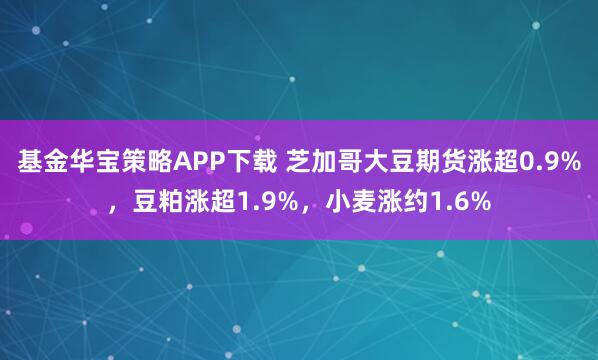 基金华宝策略APP下载 芝加哥大豆期货涨超0.9%，豆粕涨超1.9%，小麦涨约1.6%