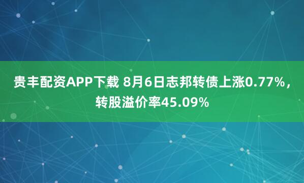 贵丰配资APP下载 8月6日志邦转债上涨0.77%,转股溢价率45.09%